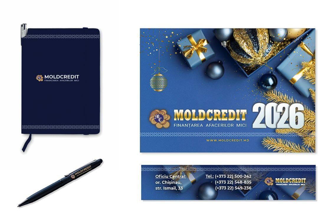 Corporate Identity — Moldcredit — image 3